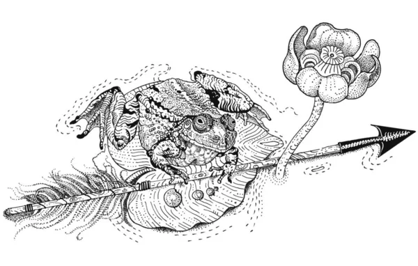 개구리 공주. 양서류는 수련 잎 위에 앉아 화살을 들고 있습니다. 러시아 동화야. 손으로 그린 잉크 펜 그림은 흰색에 검은 색으로 분리되었다. T 셔츠 자국, 문신 디자인, 작업 스타일. — 스톡 사진