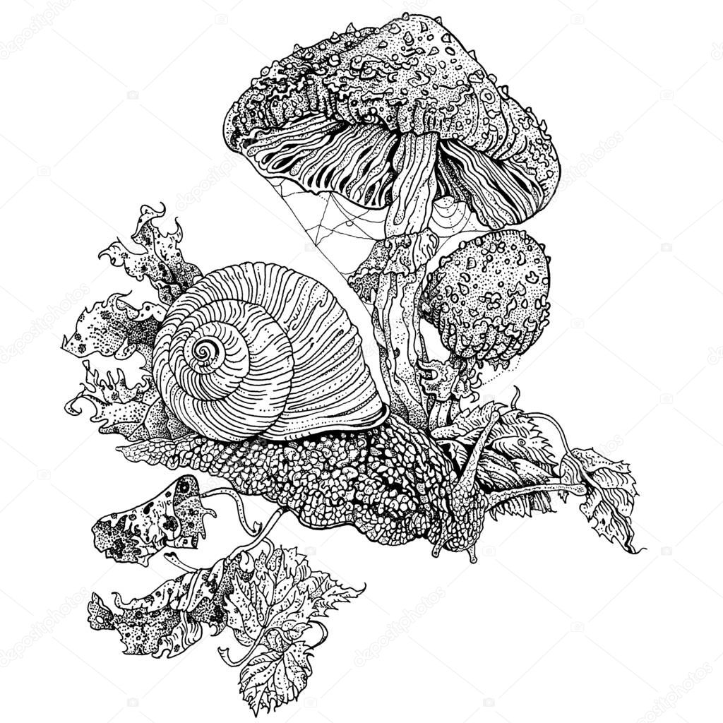 Snail and fly agaric. Hand drawn detailed ink pen illustration. T shirt print, tattoo design in dotwork style. Nature, folklore, wildlife concept. Poisonous Amanita Muscaria fungus, autumn leaves.