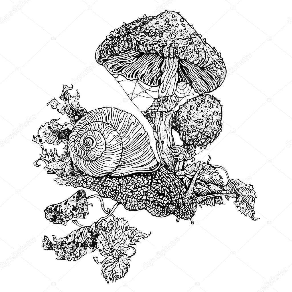 Snail and fly agaric. Hand drawn detailed ink pen illustration. T shirt print, tattoo design in dotwork style. Poisonous Amanita Muscaria fungus, autumn leaves.