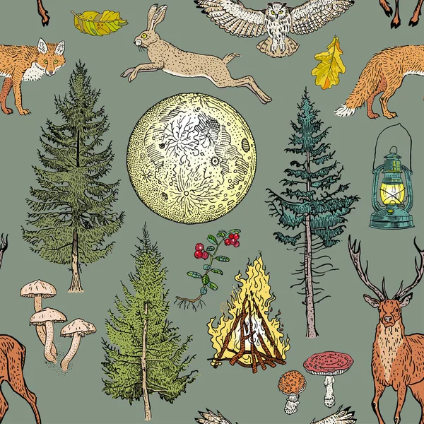 Lesní dobrodružství kouzlo bezešvé vzor: táborák, tábořiště lampa, úplněk, smrk, jedle, houby, liška, zajíc, jelen, sova, bobule. — Stockový vektor