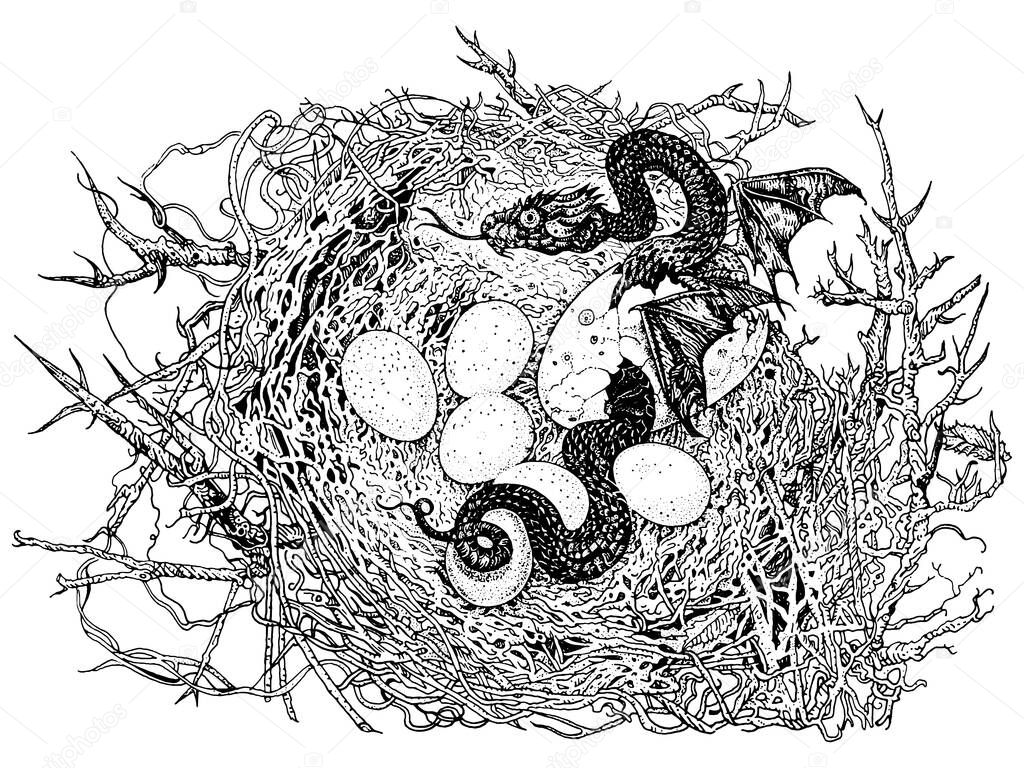 Nest coiled in the branches of a tree. The serpent hatches from the egg. Dragon, folktale, mythology. Hand drawn detailed ink pen fantasy illustration isolated black on white. T-shirt print, tattoo