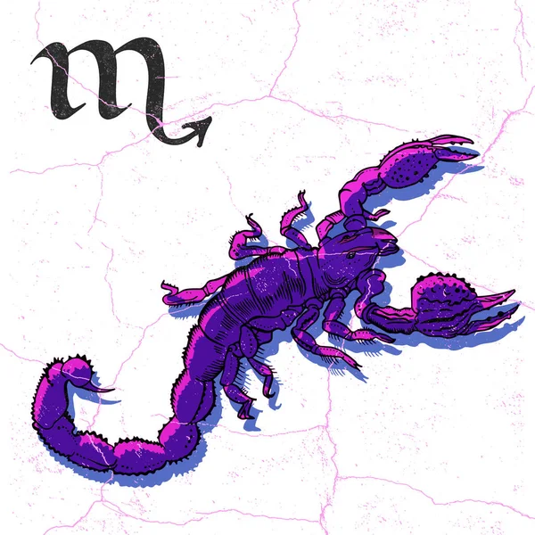 Ζωγραφική Μελανιού Σκορπιού Scorpio Zodiac Σχεδιασμός Ζώδιο Ρετρό Τυπογραφικό Στυλ — Φωτογραφία Αρχείου