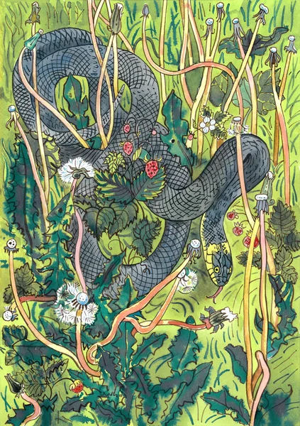 タンポポやイチゴの間で夏の牧草地で草ヘビ 手描きインクと水彩イラスト 子供の本 — ストック写真