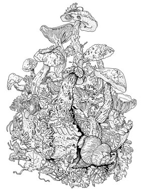 Orman mantarlı turta. Sonbahar dönemi vektör çizimi. Mantar, salyangoz, sonbahar yaprakları, liken. Ekoloji, çevre, doğa, masal, hasat konsepti. Stres önleyici boyama kitabı sayfası, dövme tasarımı.