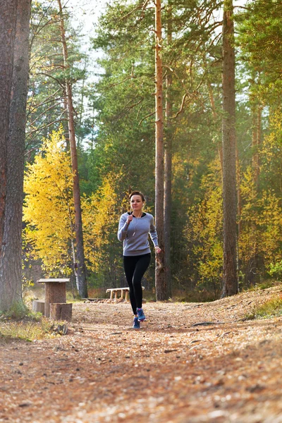 Jovem mulher correr no outono as luzes do pôr do sol da floresta — Fotografia de Stock