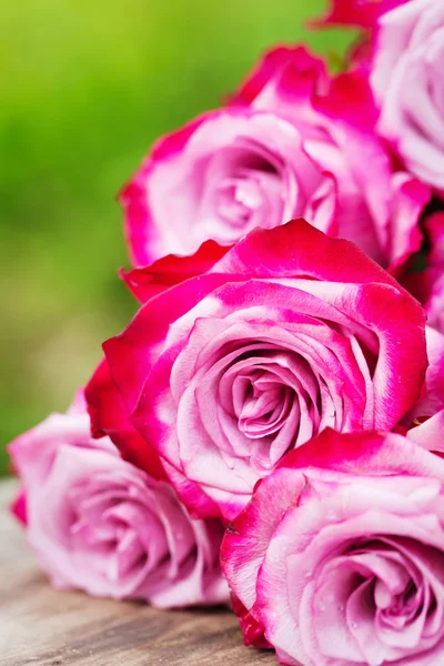 Pink fresh roses on wooden background — Stock Photo, Image