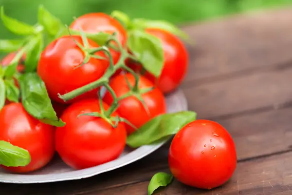 Świeże pomidory organicznych w blachy — Zdjęcie stockowe