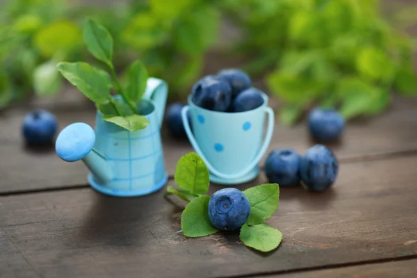 Fresh ripe blueberries outdoors — Stock Photo, Image