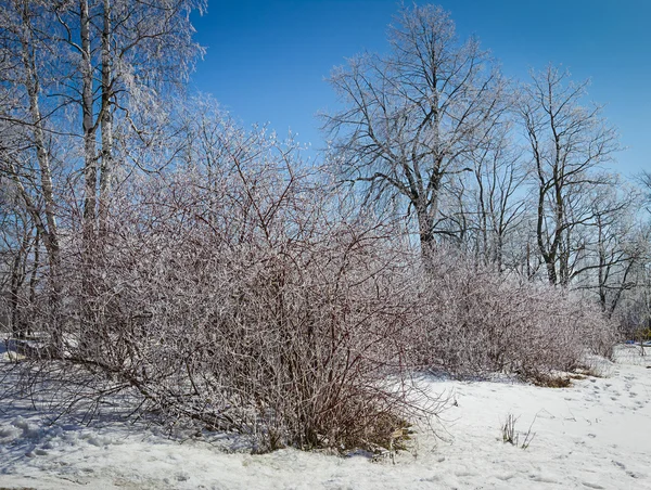 Nieve rusa de invierno — Foto de Stock