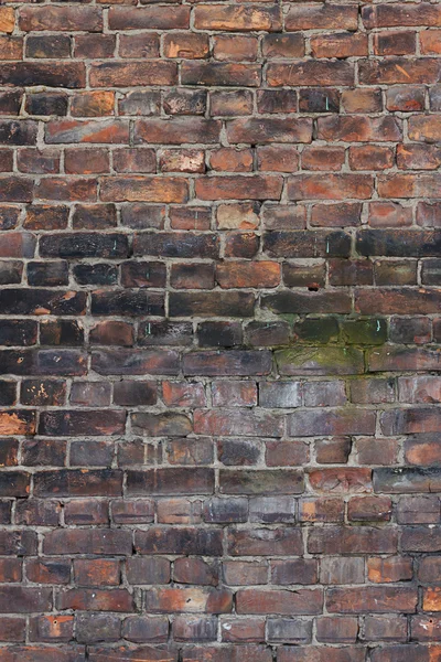 Backsteinmauer Hintergrund — Stockfoto