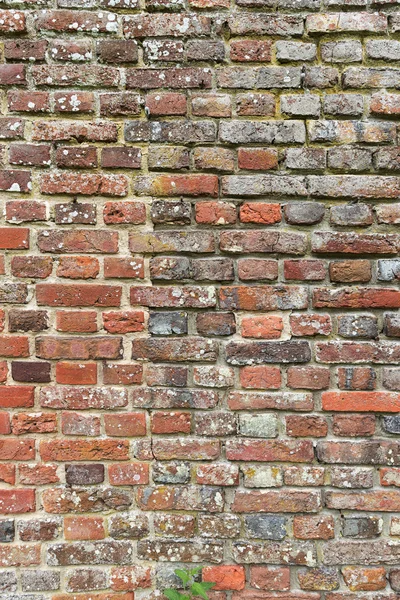Brick wall background for design works — Stock Photo, Image
