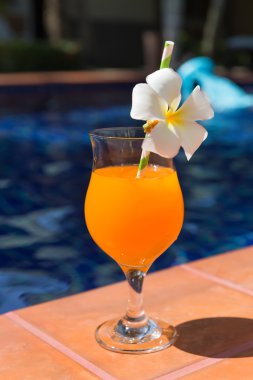 Turuncu mango taze meyve suyu güler yüzlü içki kokteyl terlik yakınındaki s