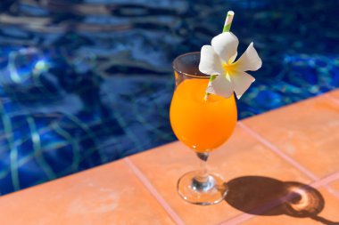 Turuncu mango taze meyve suyu güler yüzlü içki kokteyl terlik yakınındaki s