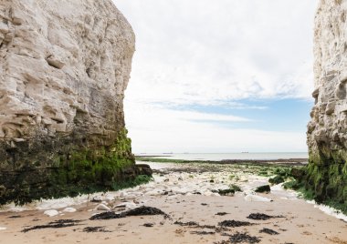 Popüler botanik Bay La Manche İngilizce kanal coast, Kent, Englan
