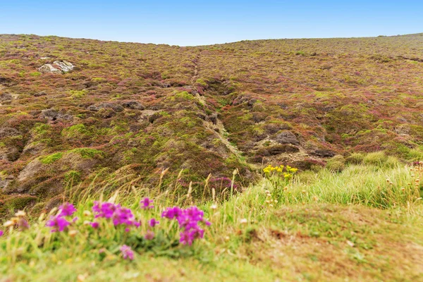 Populaire St Agnes en kapel Porth Atlantische Oceaan kust, Cornwall — Stockfoto