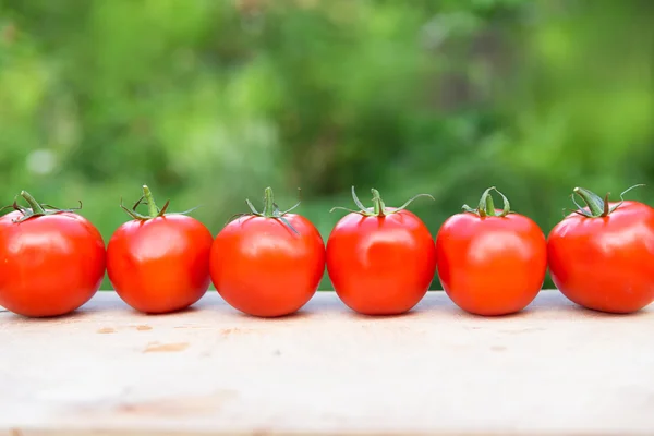 Świeże pomidory na drewnianym tle — Zdjęcie stockowe