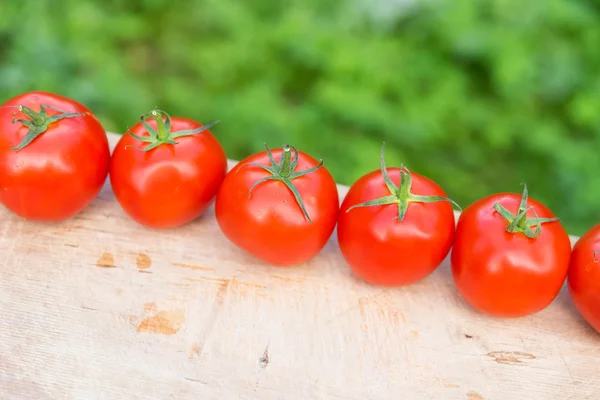 Świeże pomidory na drewnianym tle — Zdjęcie stockowe