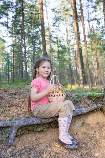 Liten flicka plocka upp svampen i skogen — Stockfoto