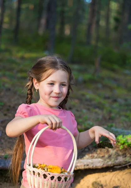 Liten flicka plocka upp svampen i skogen — Stockfoto