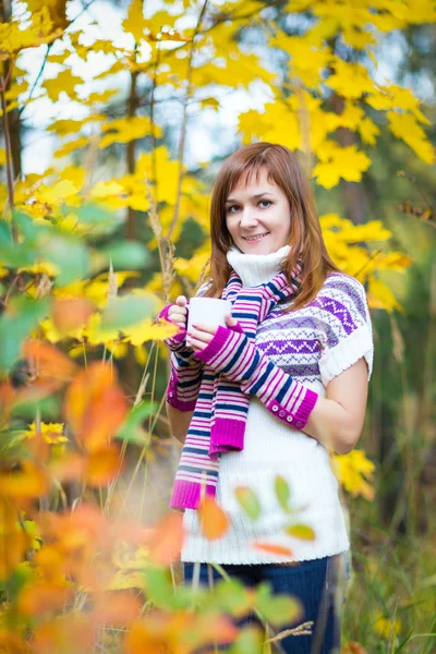Mulher bonita em um parque de outono — Fotografia de Stock