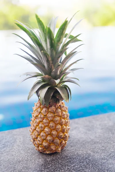 Yüzme Havuzu yanında taze ananas — Stok fotoğraf