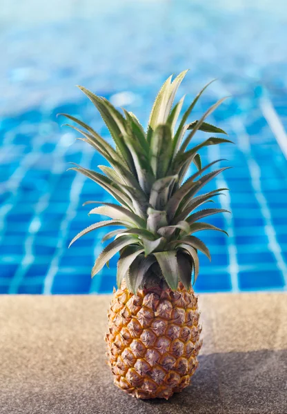 Piña fresca cerca de la piscina — Foto de Stock