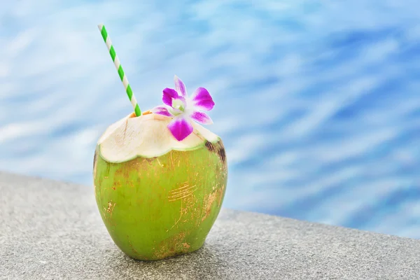 Bebida fresca de coco com piscina de flores de orquídea — Fotografia de Stock