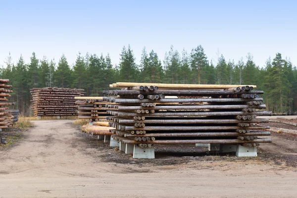 Abholzung von Wäldern für den Bau neuer Häuser — Stockfoto