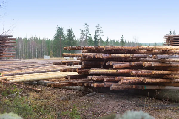 Abholzung von Wäldern für den Bau neuer Häuser — Stockfoto