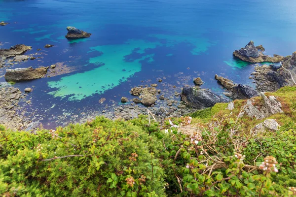 Popularne dziedzictwa wybrzeże Oceanu Atlantyckiego, Cornwall, England, Stany Zjednoczone — Zdjęcie stockowe