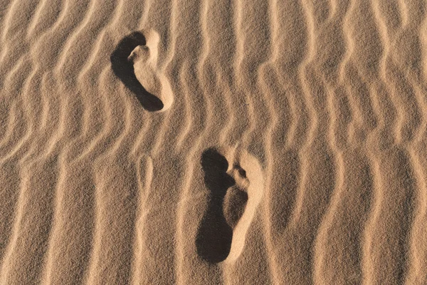 Huellas en un desierto de dunas de arena —  Fotos de Stock