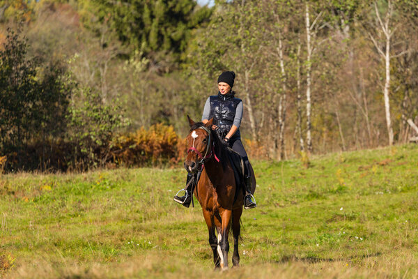 Элегантная привлекательная женщина на лошадином лугу
