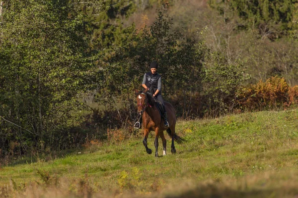 Elegant attraktiv kvinna som rider en häst äng — Stockfoto