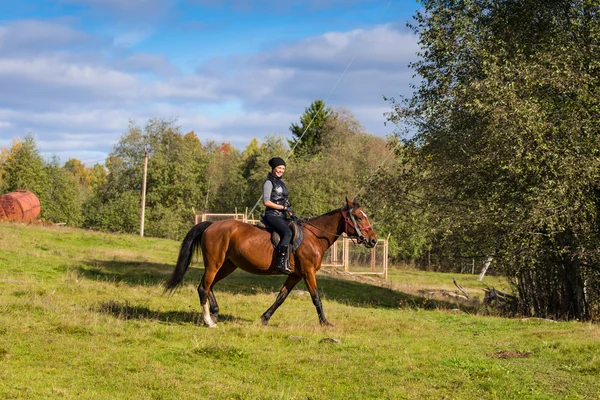 Elegante donna attraente cavalcando un prato di cavallo — Foto Stock