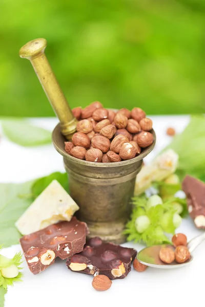 O mulțime de ciocolată diferită, multe variante de alune ingrediente în natură — Fotografie, imagine de stoc