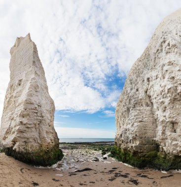 Beyaz kayalıklar botanik Bay La Manche İngilizce popüler sahil kanal,