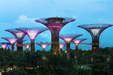 Singapur, 15 Ekim 2016 - Marina Körfezi'ndeki Bahçelerdeki Supertree Manzarası
