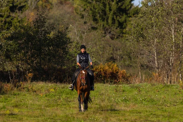 Elegante mujer atractiva montando un caballo —  Fotos de Stock