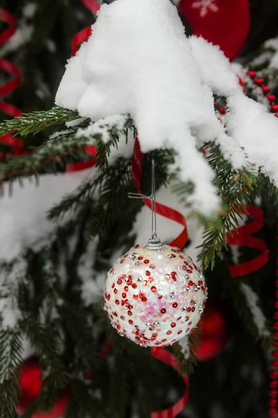 Christmas tree outdoors — Stock Photo, Image