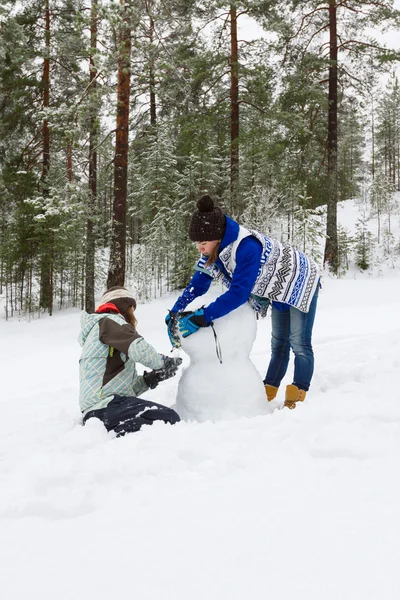 Winter rest — Stock Photo, Image