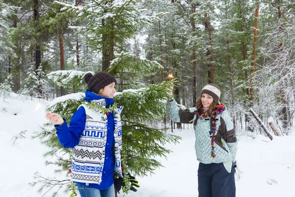 Winterruhe — Stockfoto