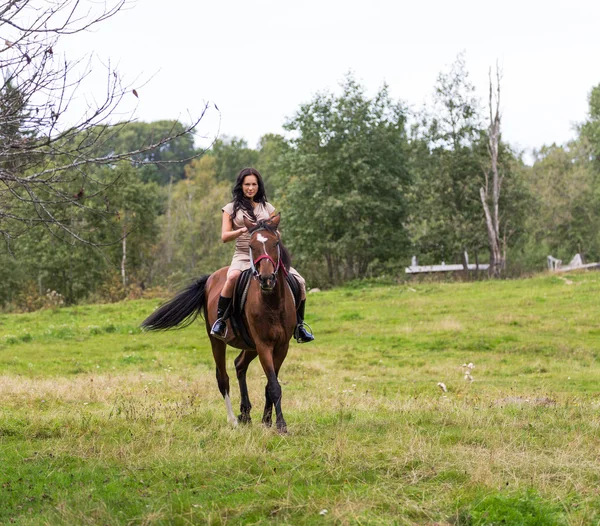 Elegant attraktiv kvinna som rider en häst äng — Stockfoto