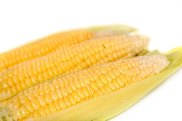 Fresh Corn — Stock Photo, Image