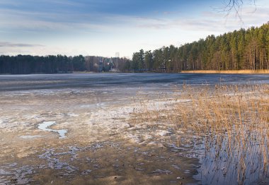 vroege voorjaar met sneeuw en ijs smelten