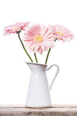 Gerbera pembe papatya çiçek