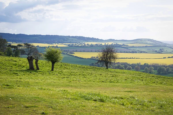 Paisaje de verano soleado perfecto — Foto de Stock