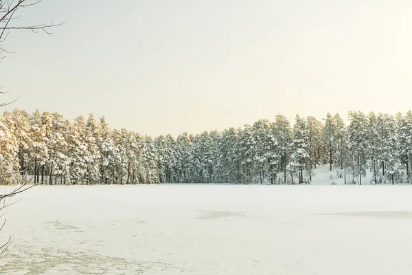 Lago invernale in ghiaccio e neve — Foto Stock