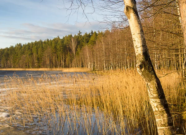 Vroege voorjaar met sneeuw en ijs smelten — Stockfoto