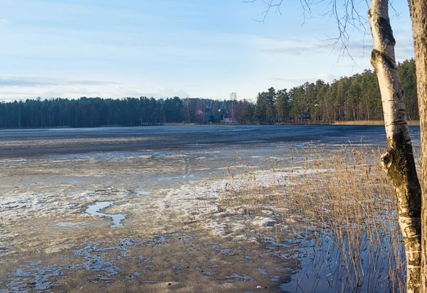 Vroege voorjaar met sneeuw en ijs smelten — Stockfoto