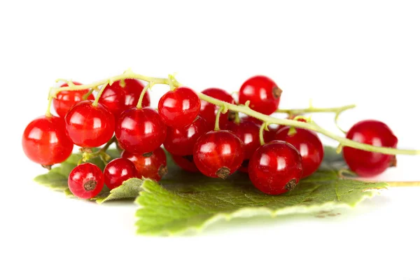 Corriente roja — Foto de Stock